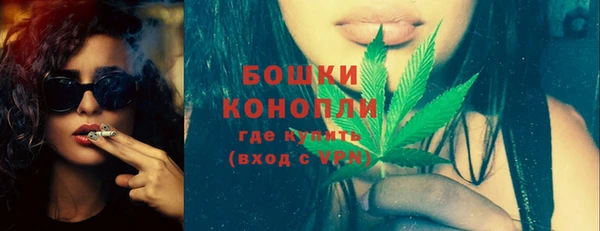стаф Дмитров