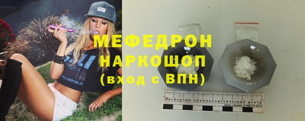 стаф Дмитров