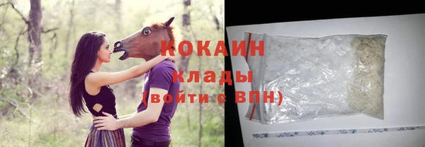 стаф Дмитров