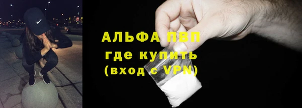 стаф Дмитров