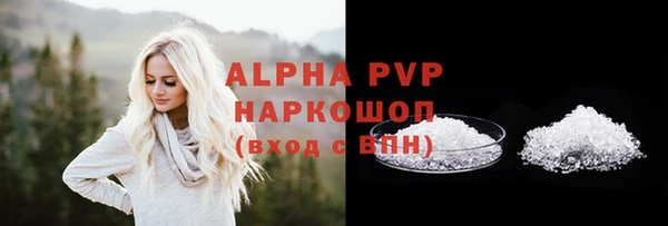стаф Дмитров
