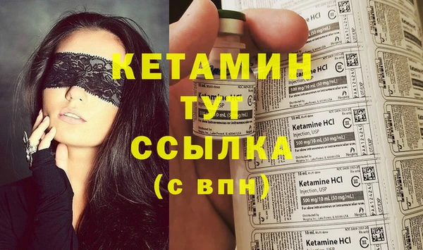 стаф Дмитров