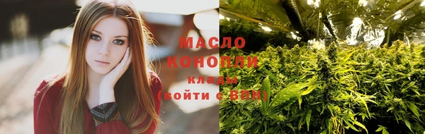 стаф Дмитров