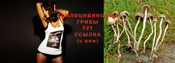 spice Дмитровск