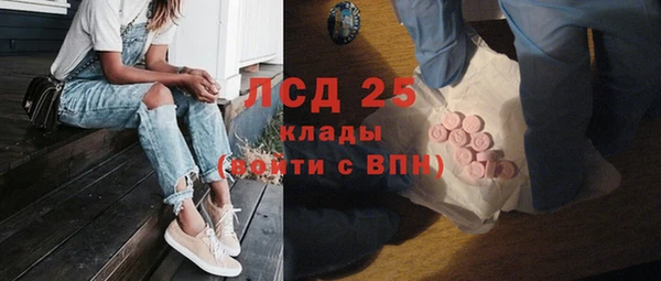стаф Дмитров